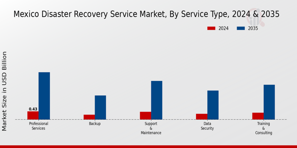 Mexico Disaster Recovery Service Market Segment