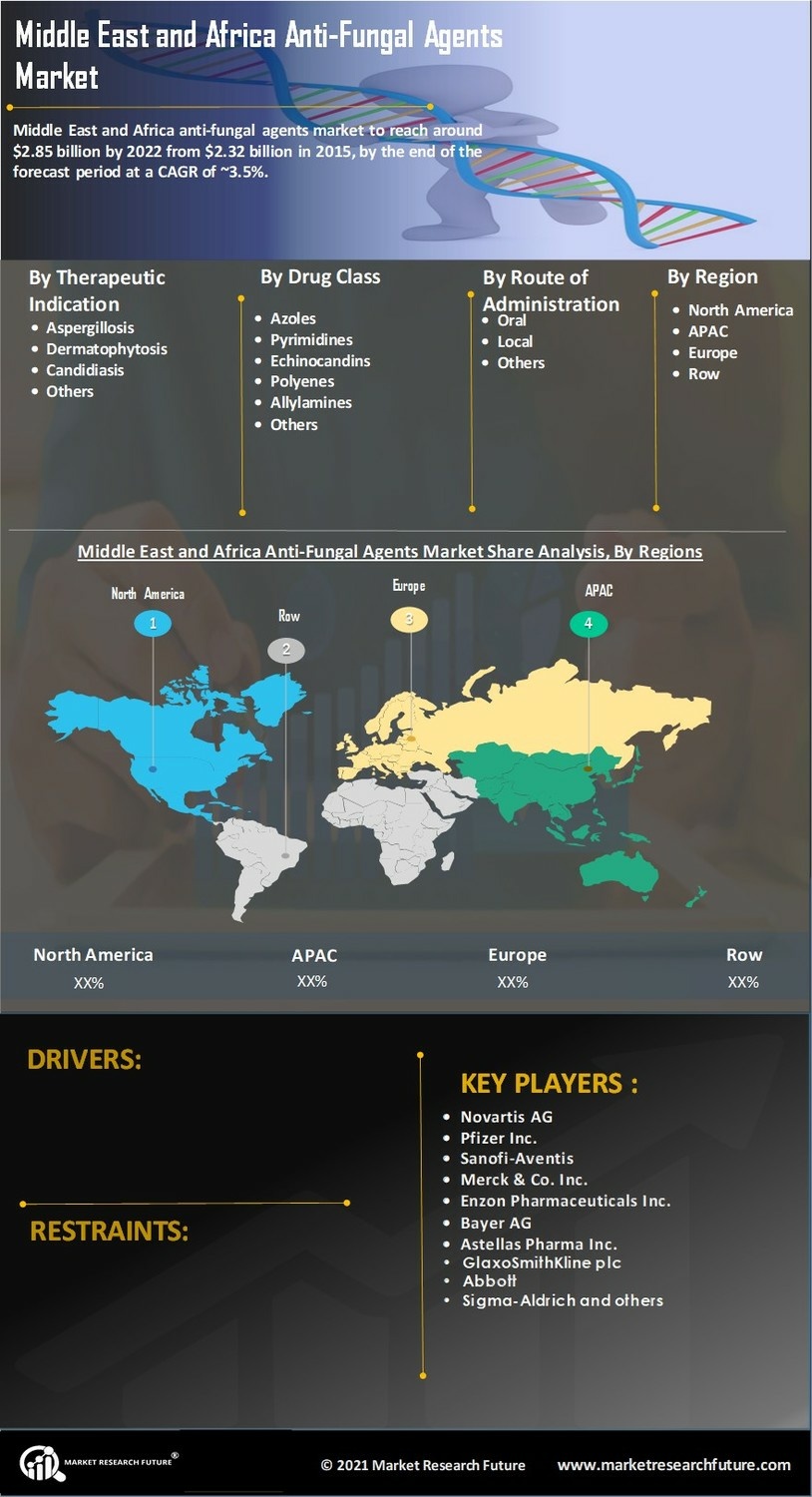 Anti-Fungal Agents Market Research Report- Forecast to 2032 Infographic