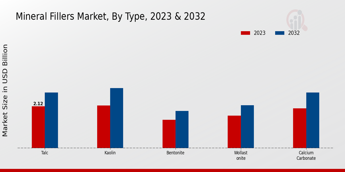 Mineral Fillers Market Type Insights