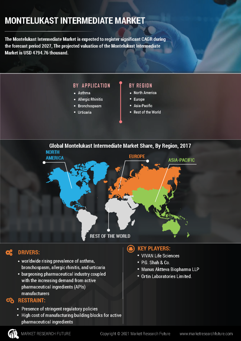 Montelukast Intermediate Market Research Report - Forecast till 2035 Infographic