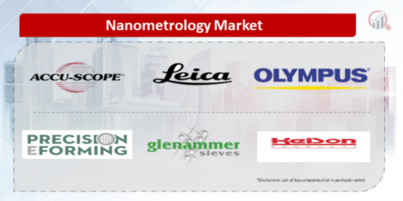 Top Industry Leaders in the Nano Metrology Market