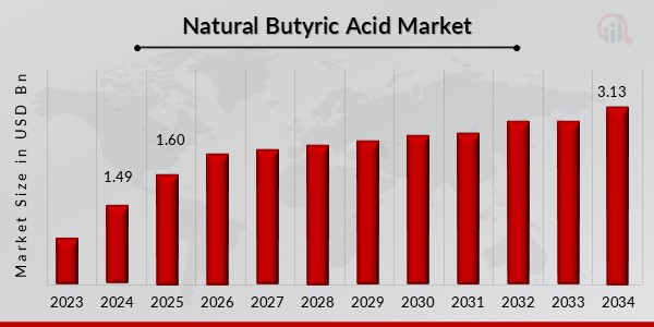  Descripción general del mercado del ácido butírico natural
