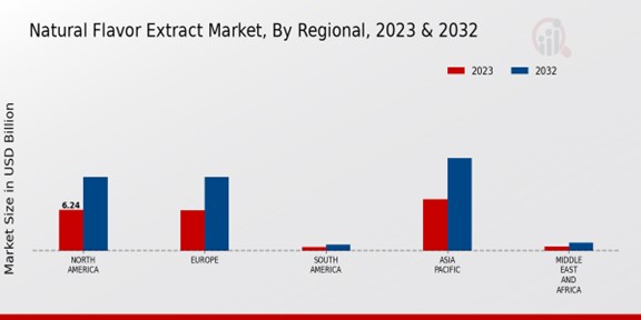 Natural Flavor Extract Market Regional