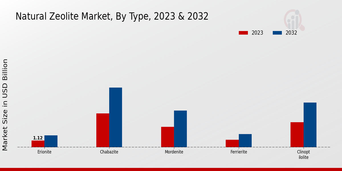 Natural Zeolite Market By Type