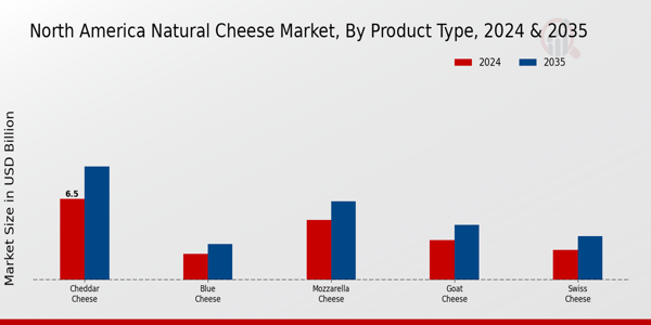 North America Natural Cheese Market Segment