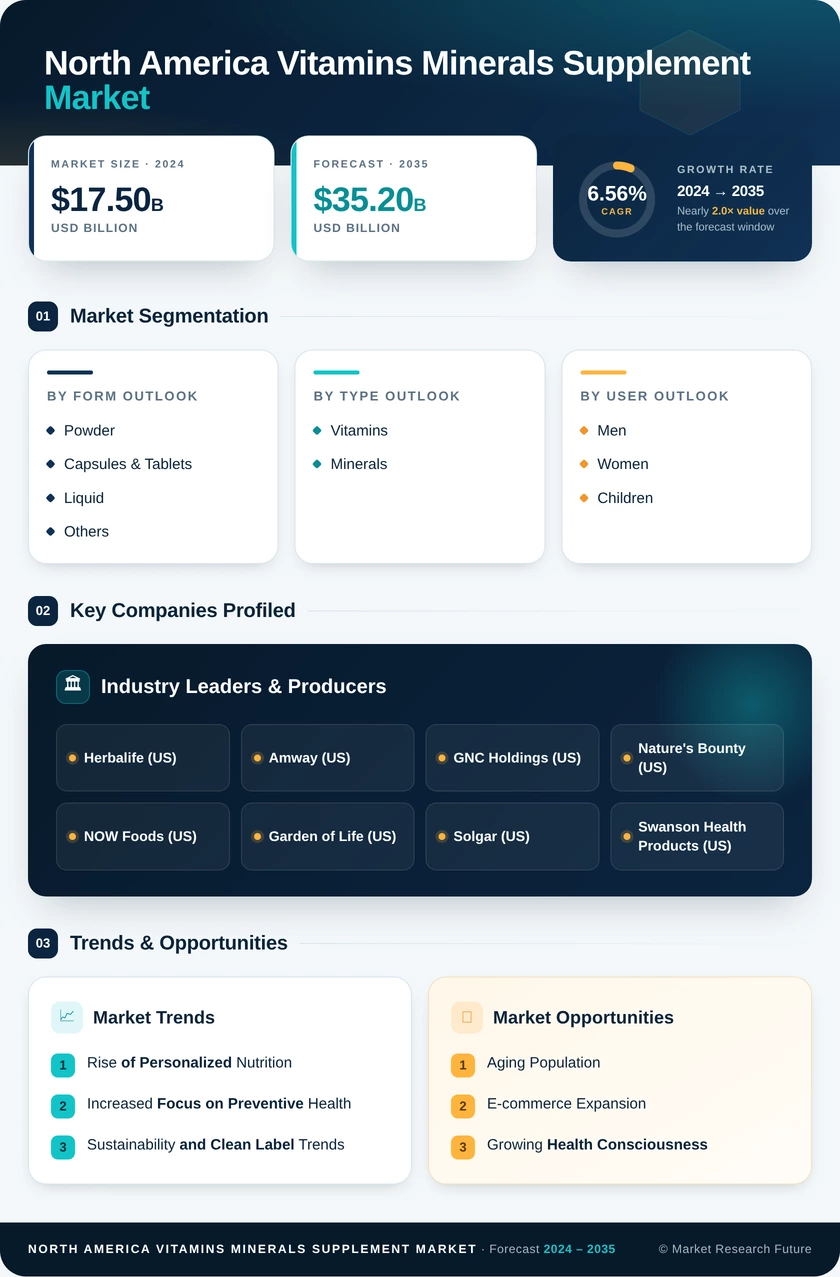 North America Vitamins Minerals Supplement Market Research Report - Forecast Till 2035 Infographic
