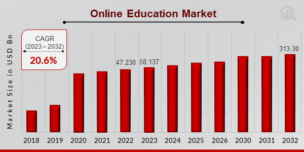 Online Education Market Overview