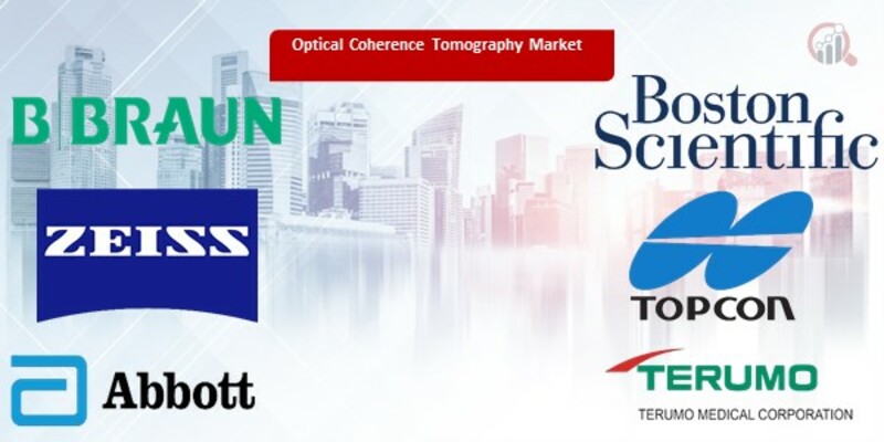 Optical Coherence Tomography key companies