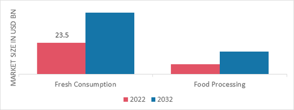 Organic Fruits & Vegetables Market, by End-User, 2022 & 2032