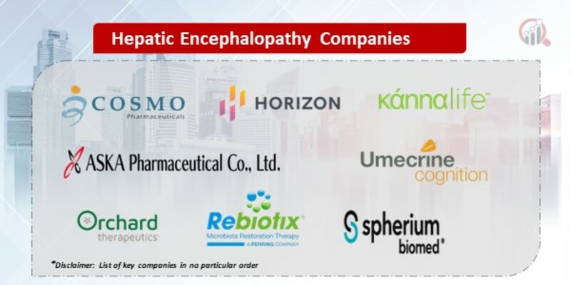 Overt Hepatic Encephalopathy Market 