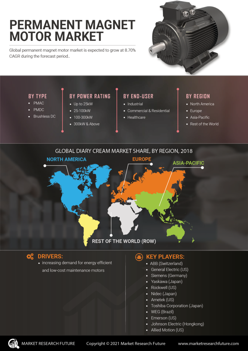 Permanent Magnet Motor Market