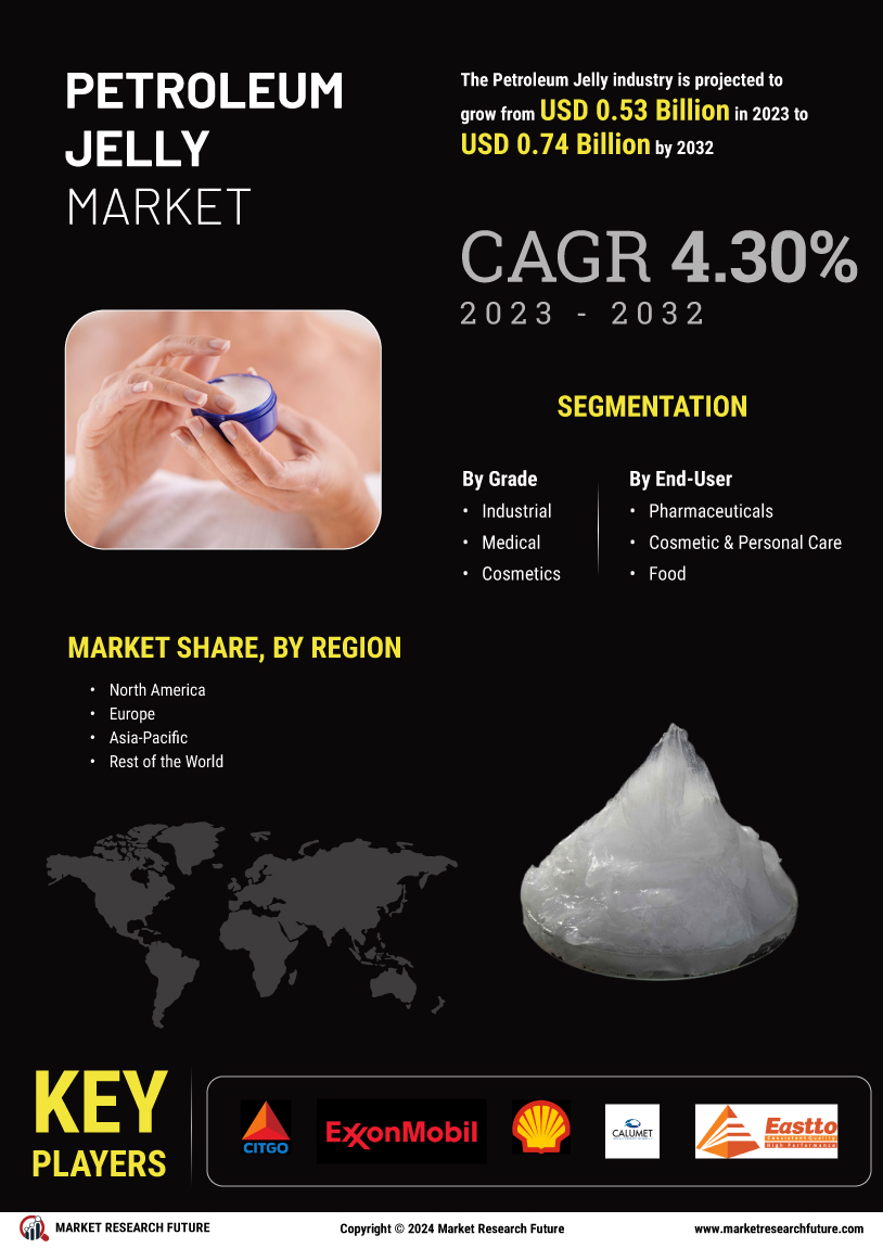 Petroleum Jelly Market Research Report - Global Forecast by 2034 Infographic