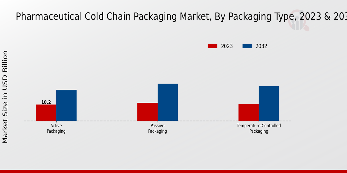 Pharmaceutical Cold Chain Packaging Market Packaging Type