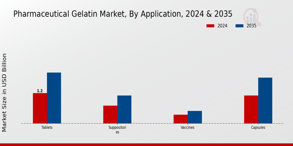 Pharmaceutical Gelatin Market Application Insights