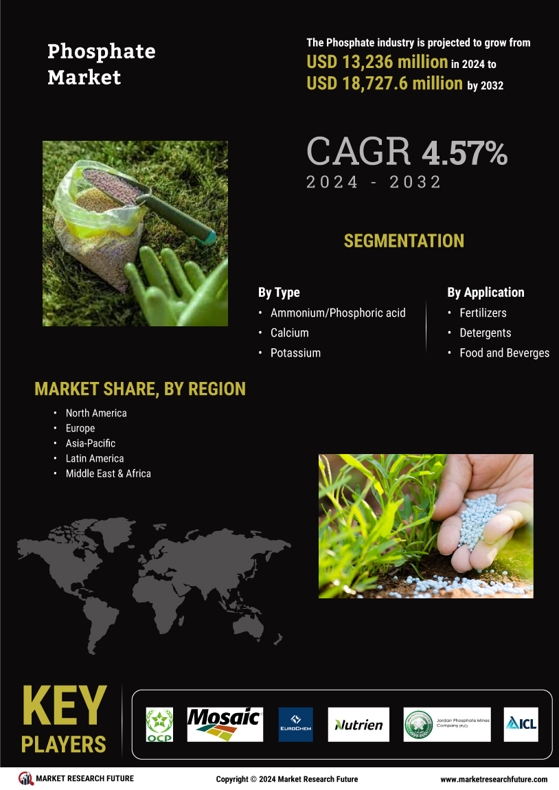 Phosphate Market