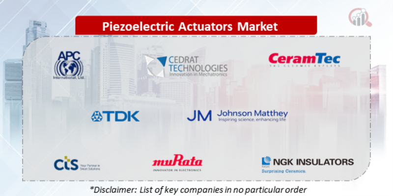 Piezoelectric Actuators Companies