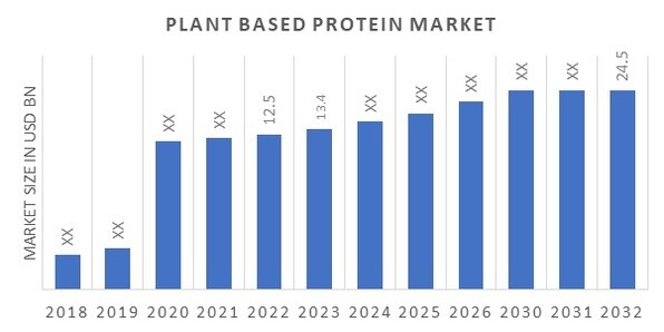 Plant Based Protein Market Overview