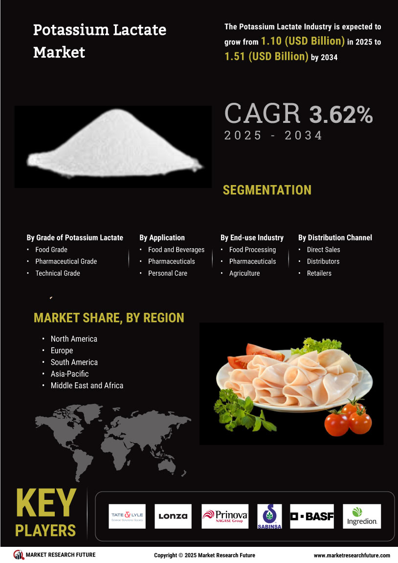 Potassium Lactate Market Research Report - Global Forecast by 2034 Infographic