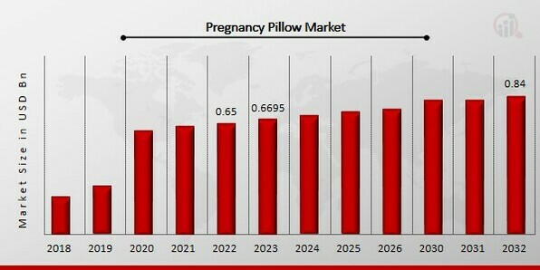 Pregnancy Pillow Market Overview