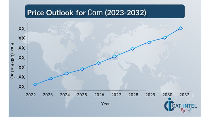 Price Outlook for Corn Market ( 2024 -2032 )