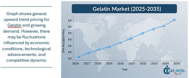 Pricing Outlook for Gelatin