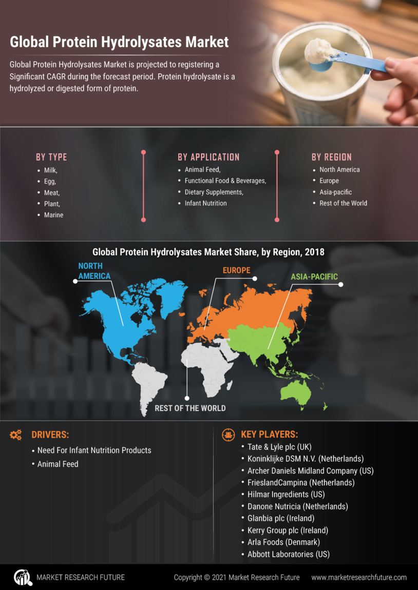 Protein Hydrolysates Market