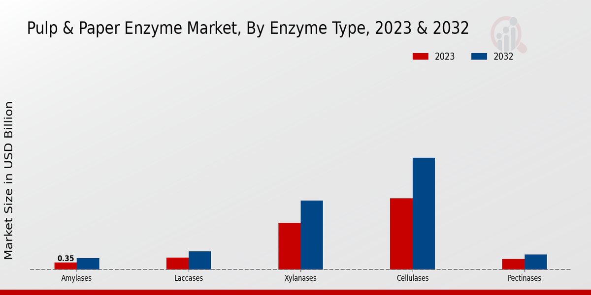 Pulp and Paper Enzyme Market Enzyme Type Insights