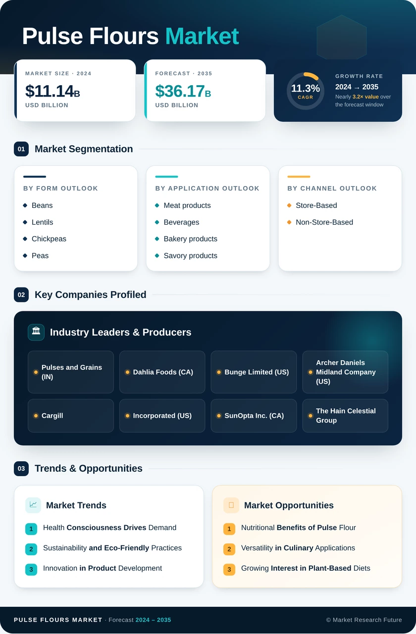 Pulse Flour Market Research Report- Forecast till 2035 Infographic