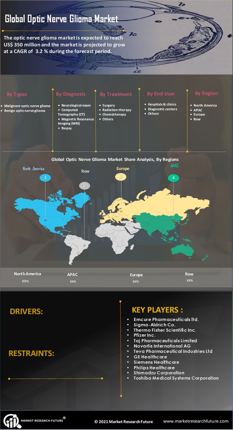 Optic Nerve Glioma Market Research Report- Global Forecast till 2035 Infographic
