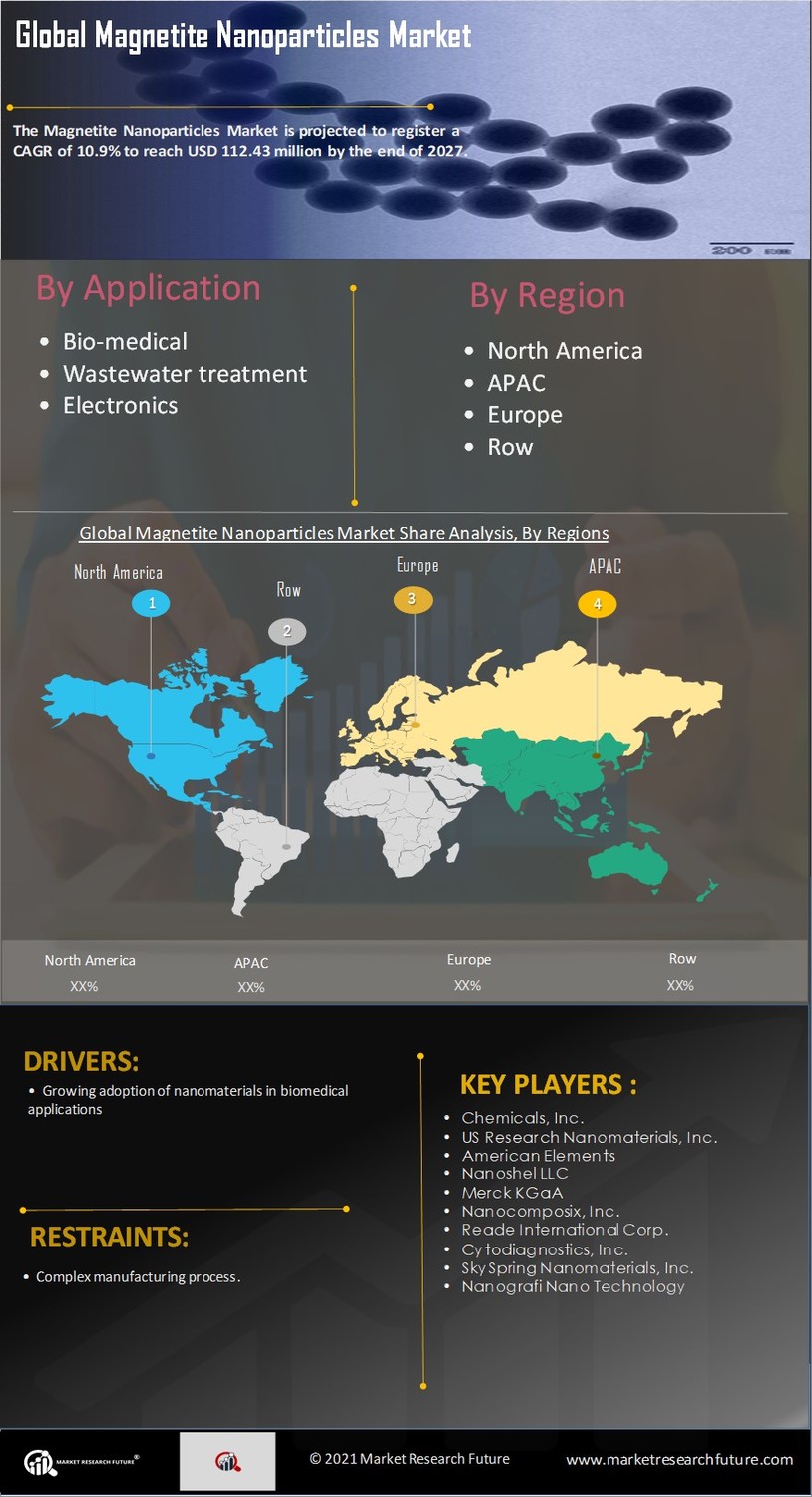 Magnetite Nanoparticles Market