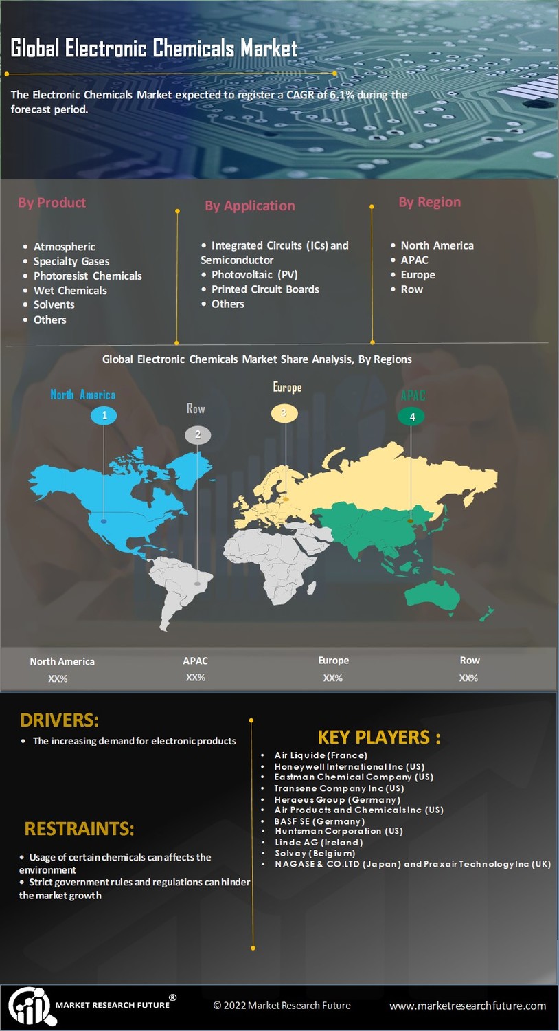 Electronic Chemicals Market