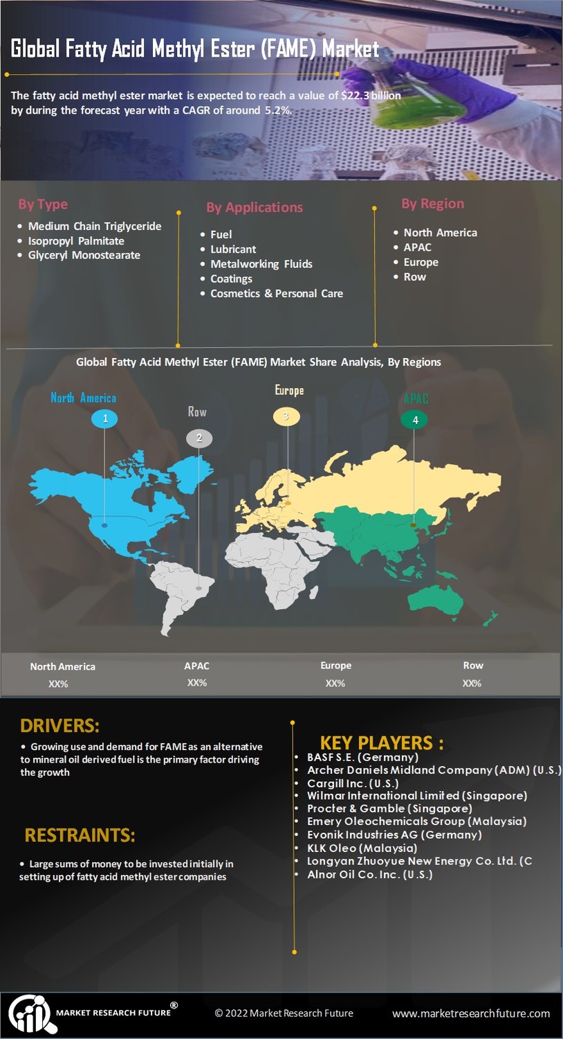 Fatty Acid Methyl Ester Market
