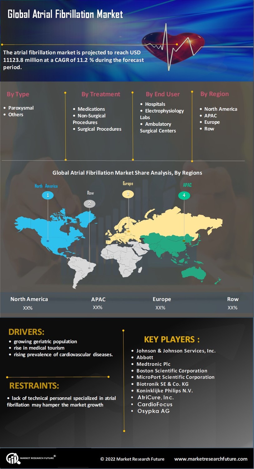 Atrial Fibrillation Systems Market