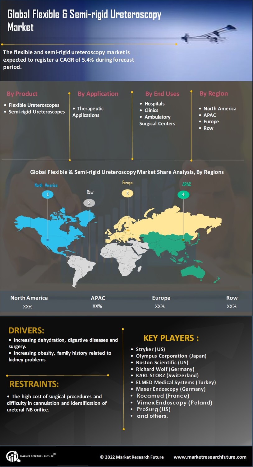 Flexible and Semi-rigid Ureteroscopy Market Research Report – Forecast to 2032 Infographic