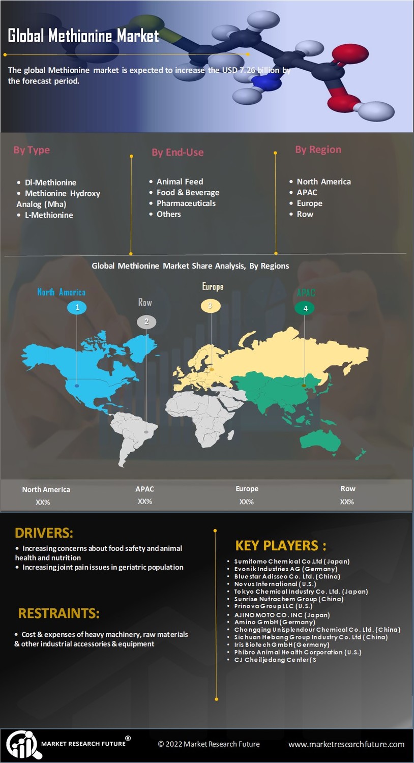 Methionine Market Research Report - Forecast to 2030 Infographic