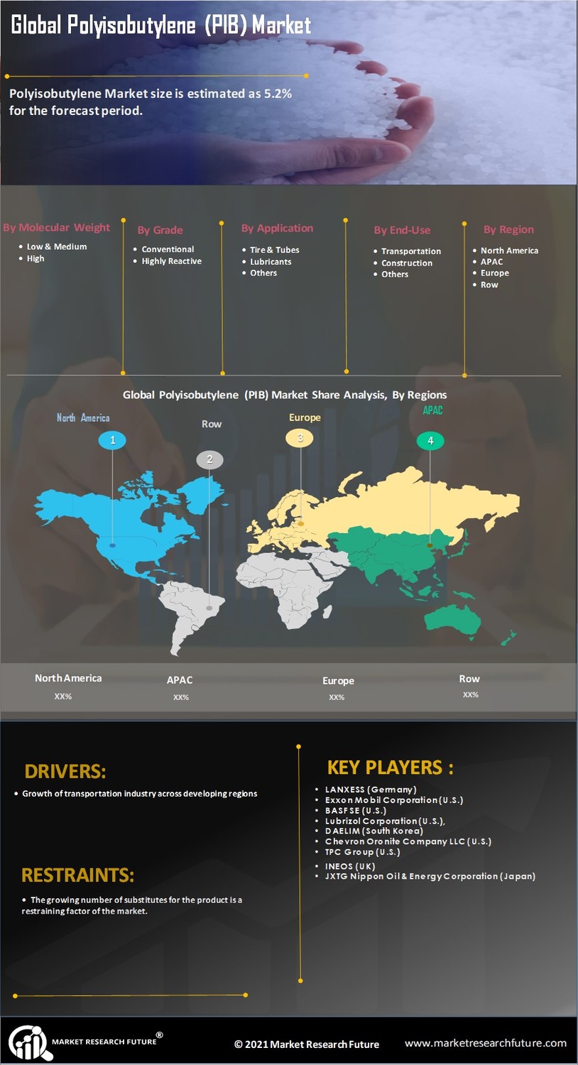 Polyisobutylene Market