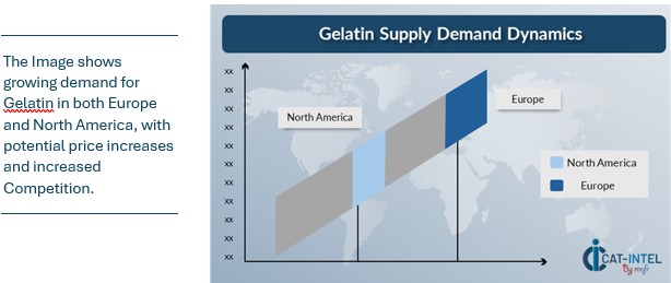 Regional Demand-Supply Outlook Gelatin