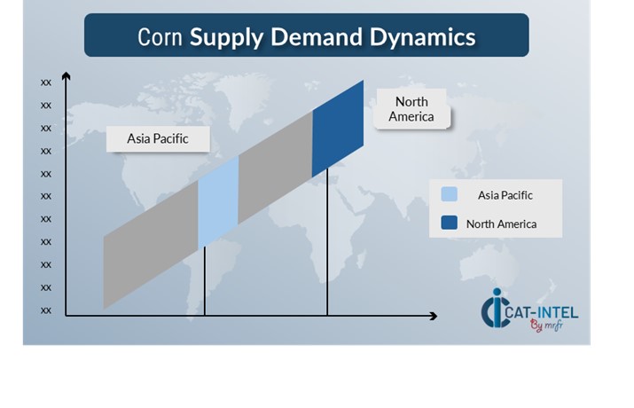 Regional Demand Supply Outlook Corn