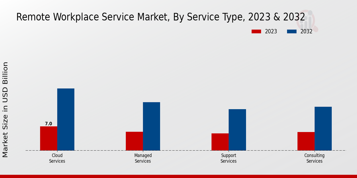 Remote Workplace Service Market Service Type Insights