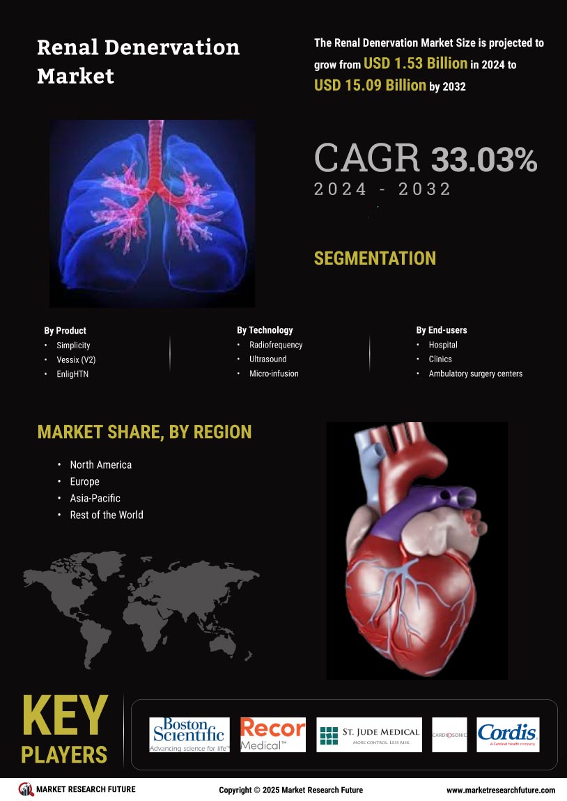 Renal Denervation Market Research Report - Forecast till 2032 Infographic