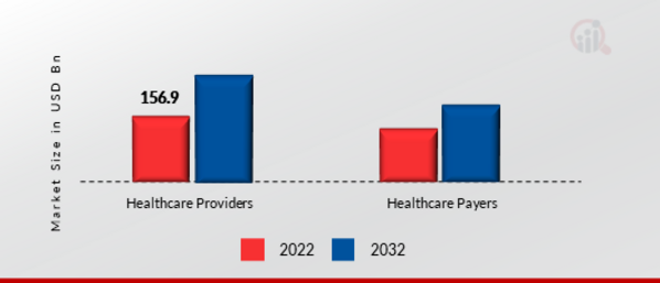 Revenue Cycle Management Market, by End User, 2022 & 2032