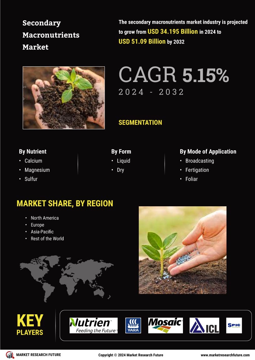 Secondary Macronutrients Market