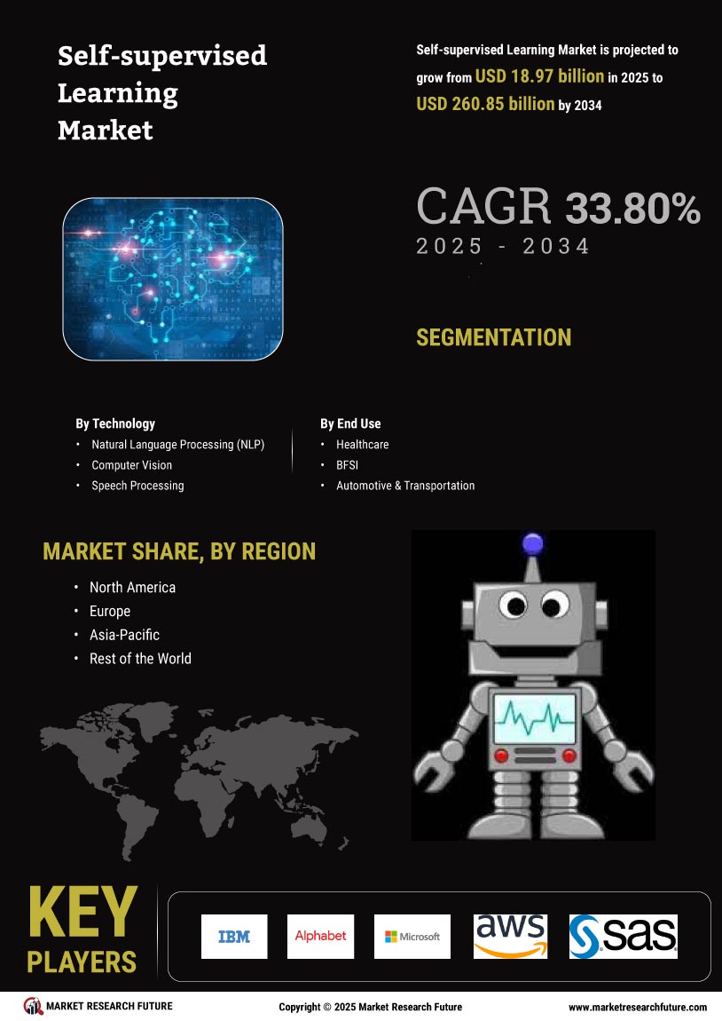 Self Supervised Learning Market