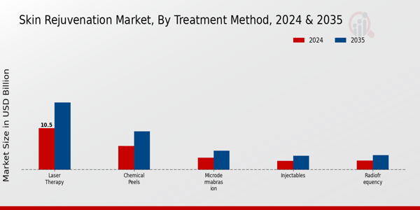 Skin Rejuvenation Market Segment