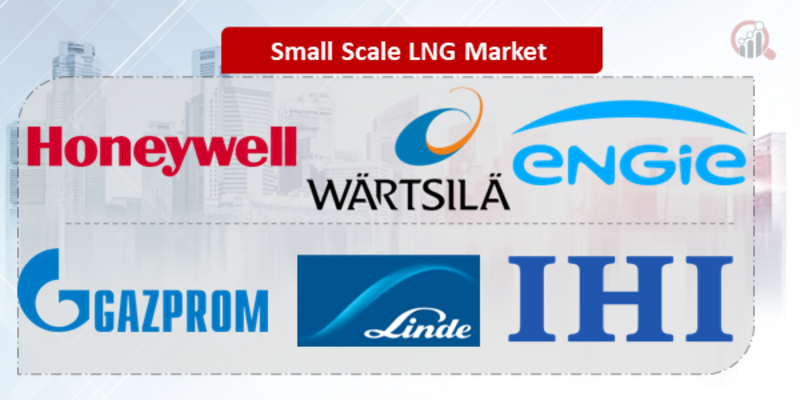 Small Scale LNG Key Company