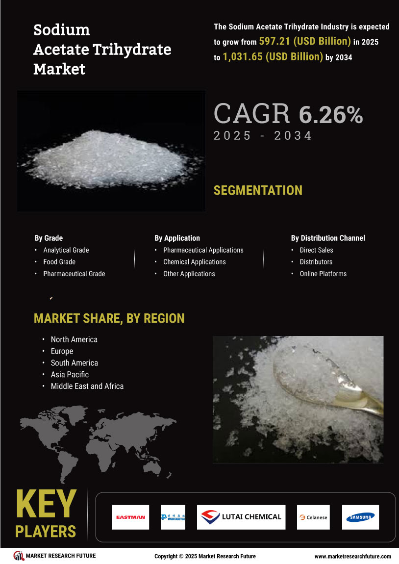 Sodium Acetate Trihydrate Market Research Report — Global Forecast till 2035 Infographic