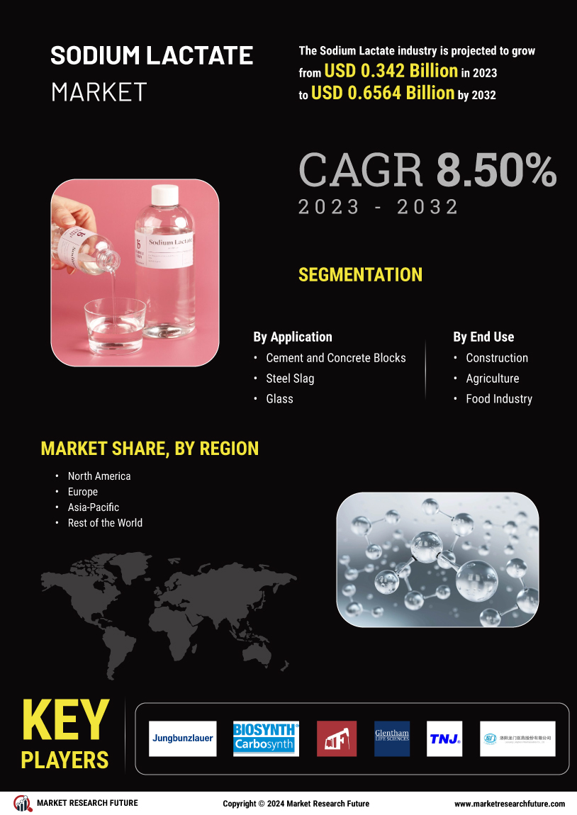 Sodium Lactate Market Research Report - Global Forecast by 2034 Infographic