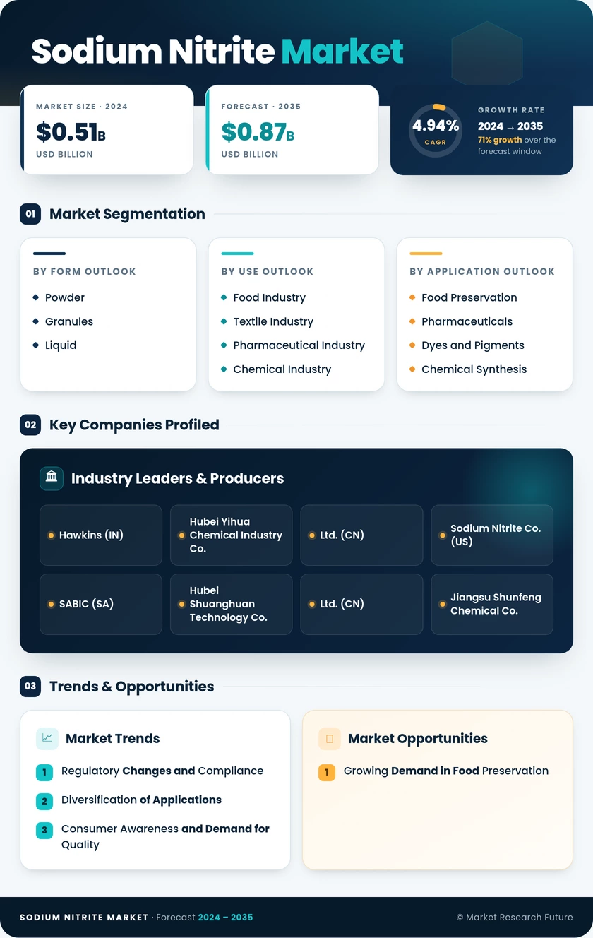 Sodium Nitrite Market Research Report—Global Forecast till 2035 Infographic