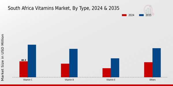South Africa Vitamins Market 2