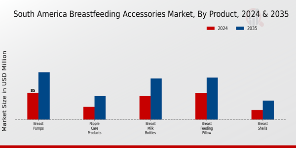 South America Breast Feeding Accessories Market Segment